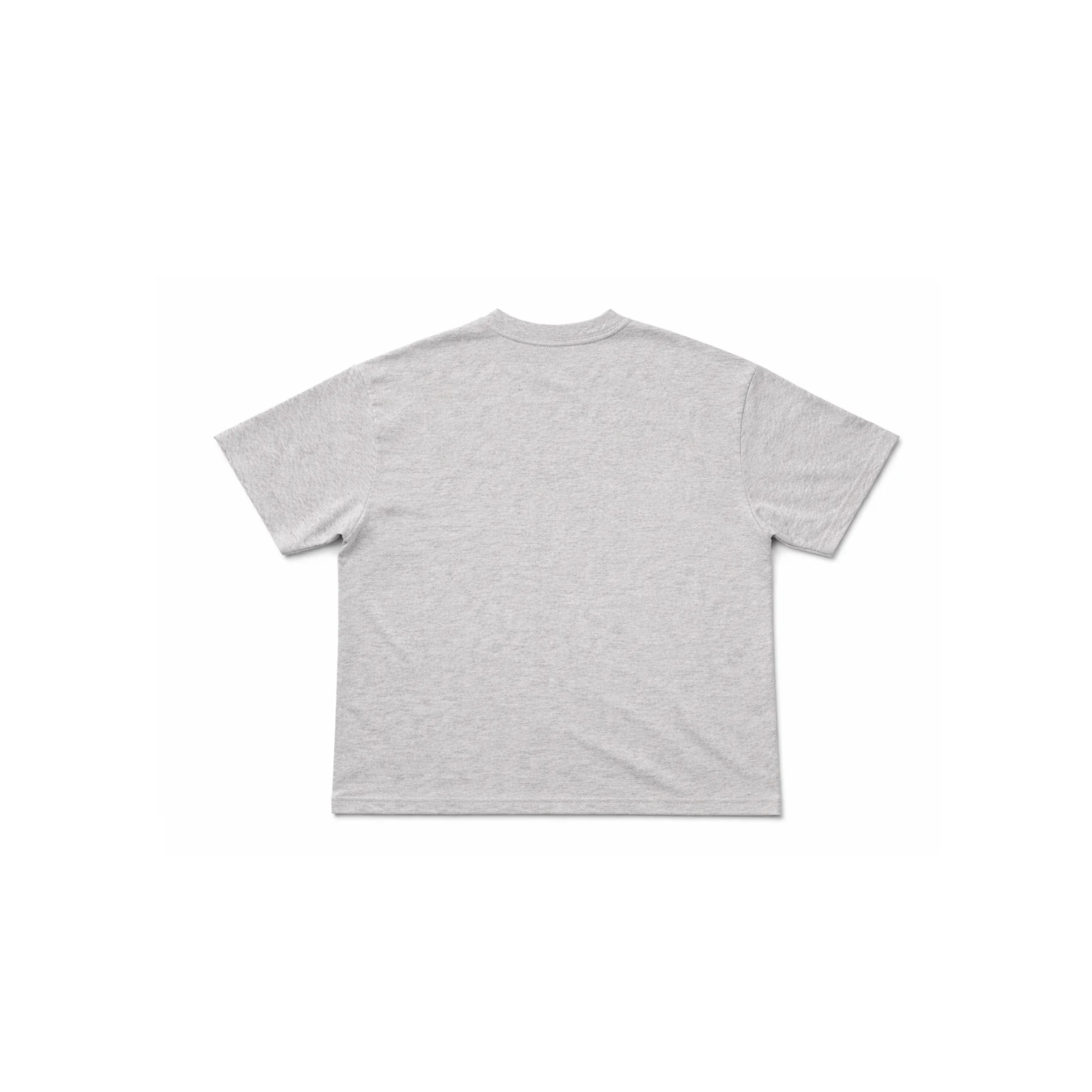 GREY MARLE CHEST PRINT TEE