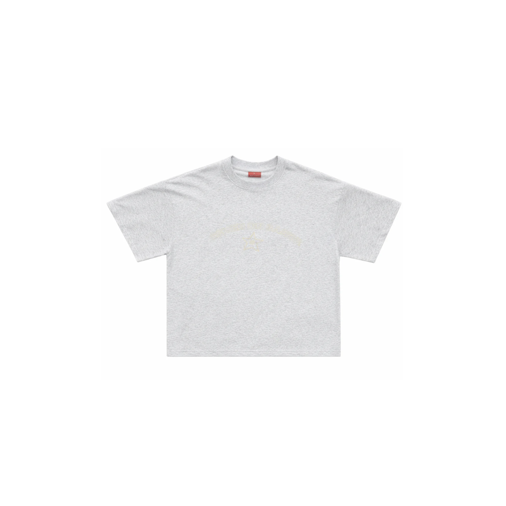 GREY MARLE CHEST PRINT TEE